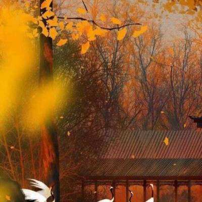 北京今年一季度截获外来物种198种次